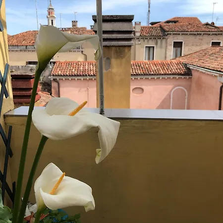 Ca D'oro Apartment