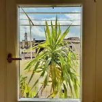 Ca D'oro Apartmán *